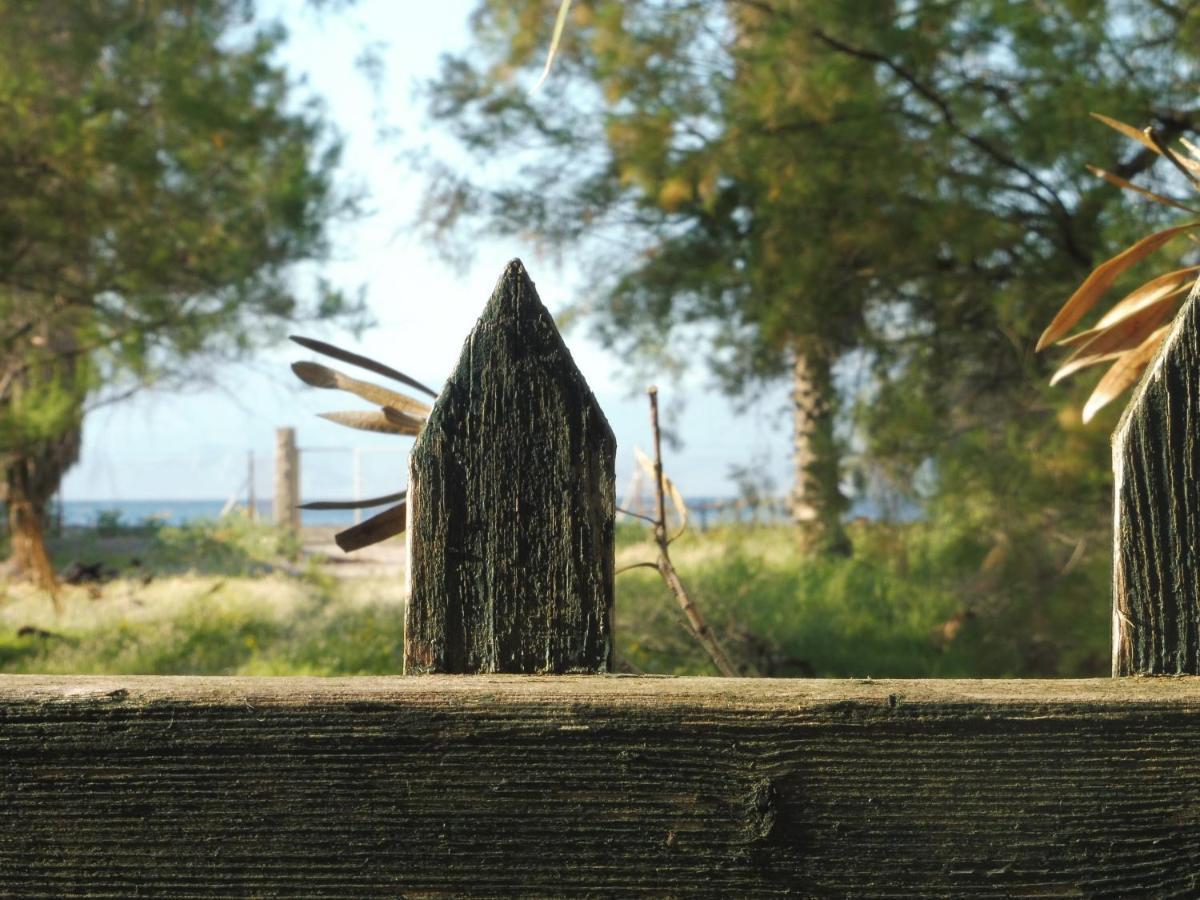 Palm Tree House By The Beach Skhoínos المظهر الخارجي الصورة